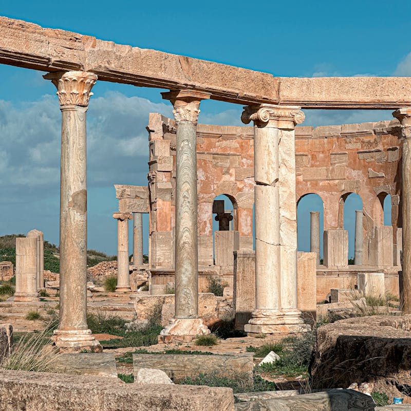 pexels-photo-31321769